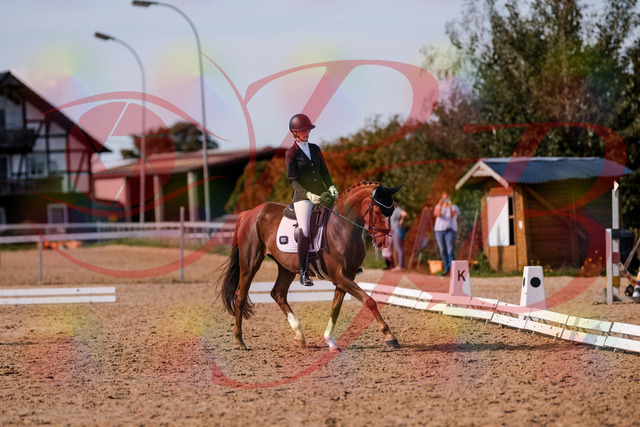 2026_10_03_Siefer-Hof_133155_Z81_87370878 | Professionelle Reitsport-, Turnier- und Eventfotografie von Robert Broda. Galerien mit ausgewählten und bearbeiteten Bildern direkt online ansehen und bestellen.