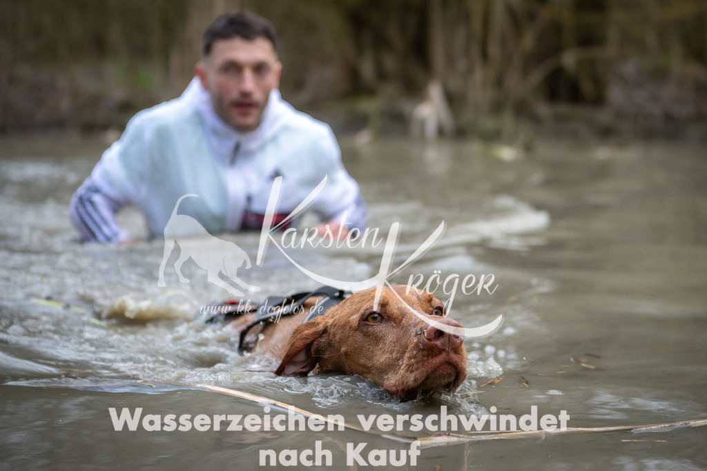 1421_ZZ98579 | kk-dogfotos