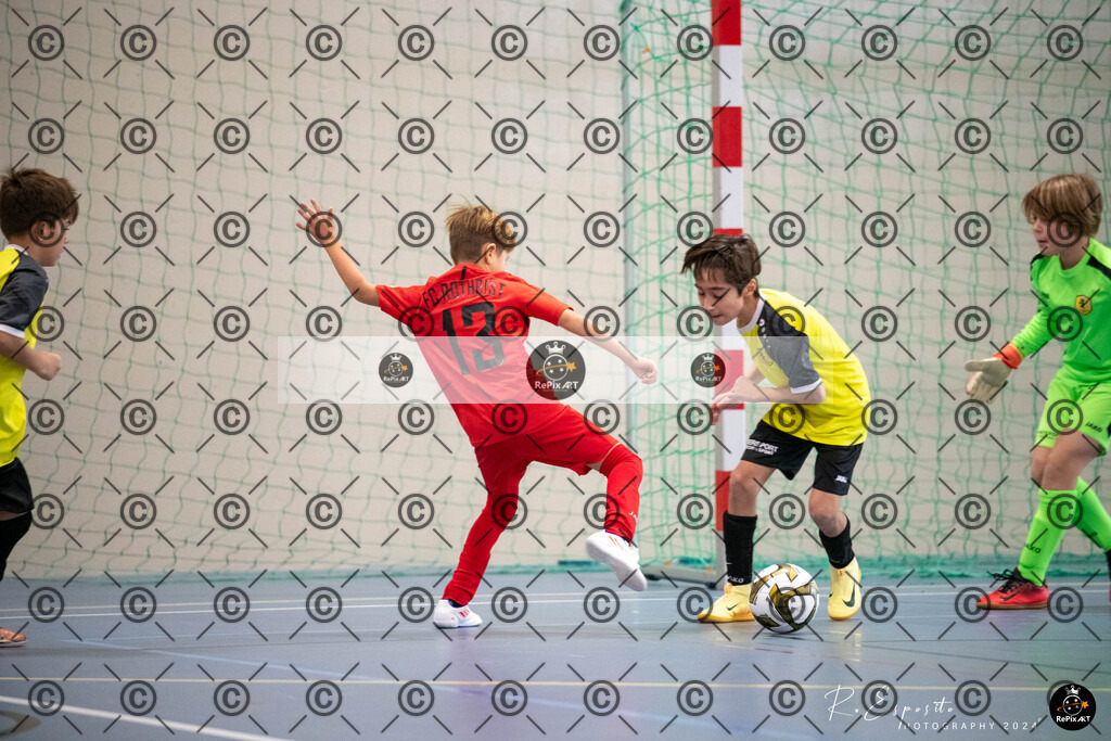 20241123_unbenannt_006 | Sport und Naturfotografie von Roberto Esposito zeigt echte Momente Bewegung und die Schönheit der Natur. Ausdrucksstarke Bilder schaffen Emotionen.