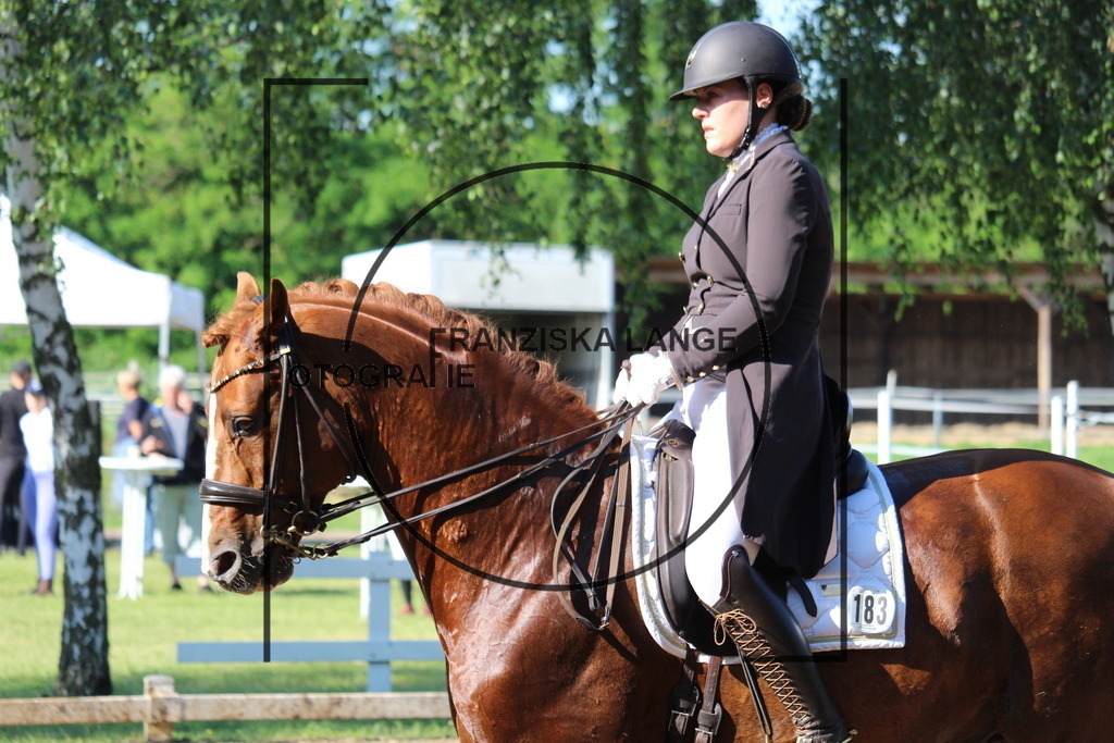 IMG_6288 | franziskalange - Realisiert mit Pictrs.com