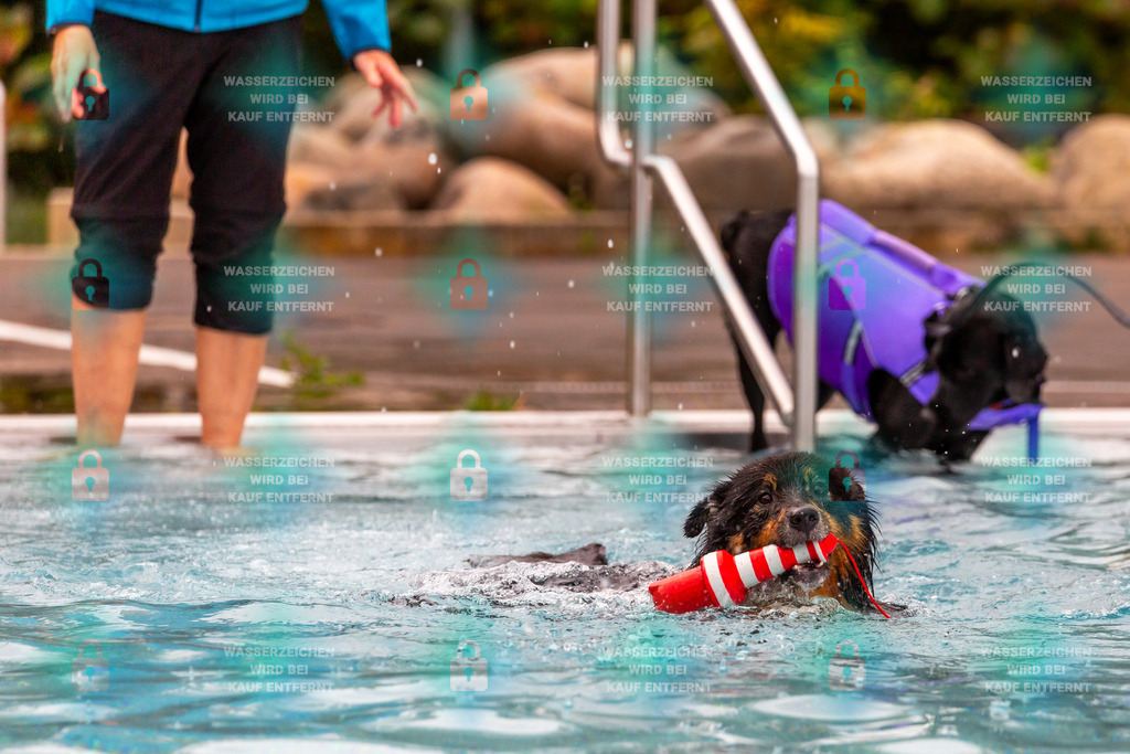 _HP_6290_fullo | HetPix, HetPix Fotodesign, Fotografie, Fotodesign, Webshop, Sportfotografie, Portraitfotografie, Onlineshop, Sportfotografie, Polch, Motorsportfotografie, Eventfotografie