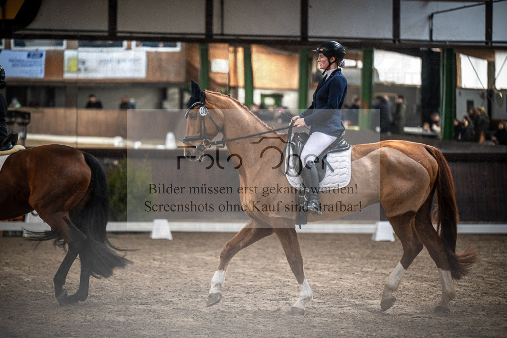 DOS_0337 | Entdecke hochwertige Reitturnierfotos von Foto Oger. Professionell, emotional und authentisch – jetzt Lieblingsmomente im Shop bestellen.Deutschlandweite Turnierfotografie. - Realisiert mit Pictrs.com