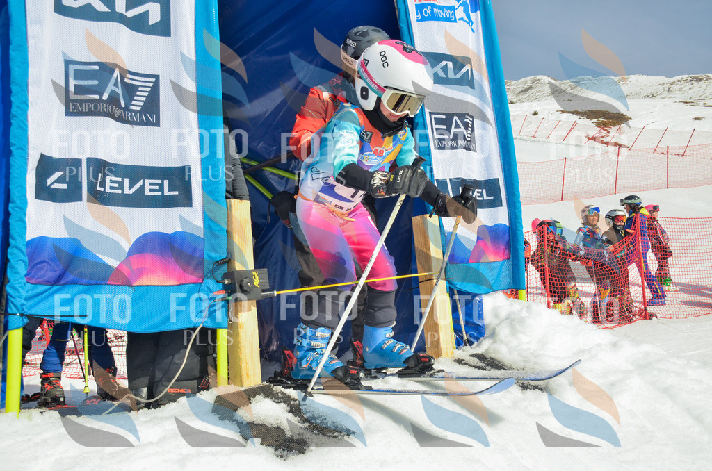 _ELE4632 | holidayphoto