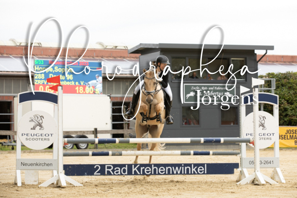 IMG_6541 | photographesa-joergens - Realisiert mit Pictrs.com