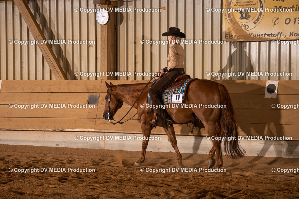 NID00209 | dv-media-shop - Realisiert mit Pictrs.com