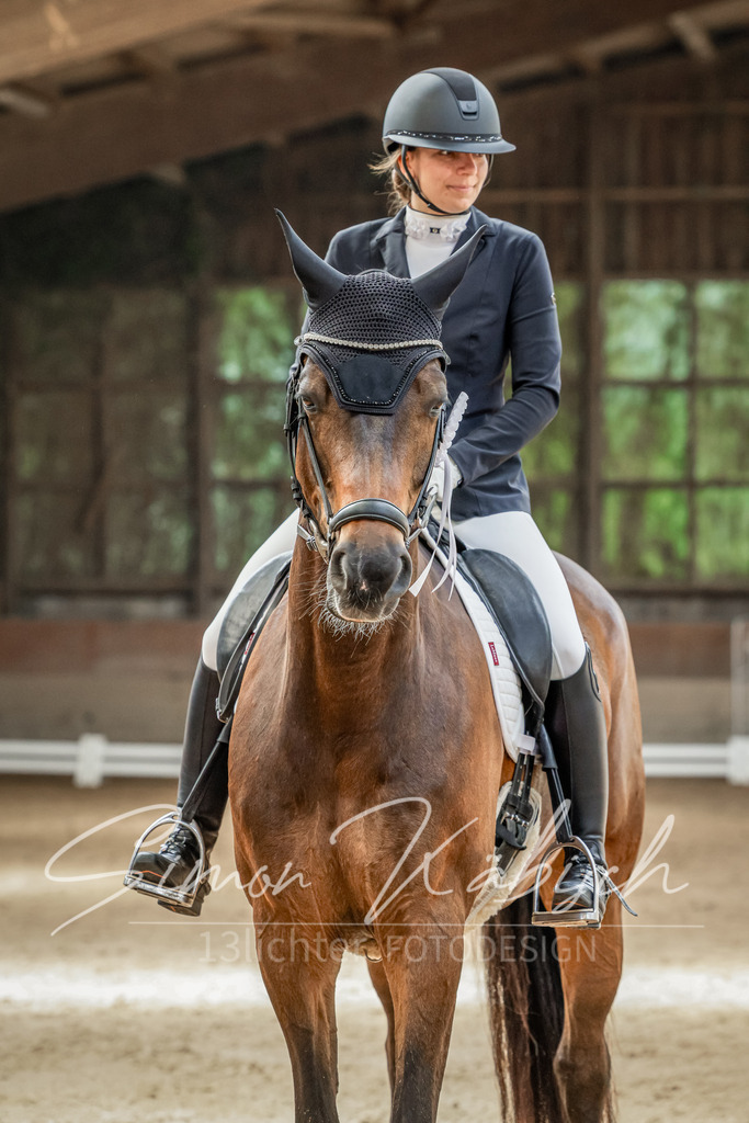 20250621-_3LI7117 | Tierfotografie Pferde, Hunde, Katzen, Haustiere.
Turnierfotografie Reitturniere, Reiten, Springreiten, Dressur in Hanau, dem Main-Kinzig-Kreis und dem Rhein-Main- Gebiet um Frankfurt