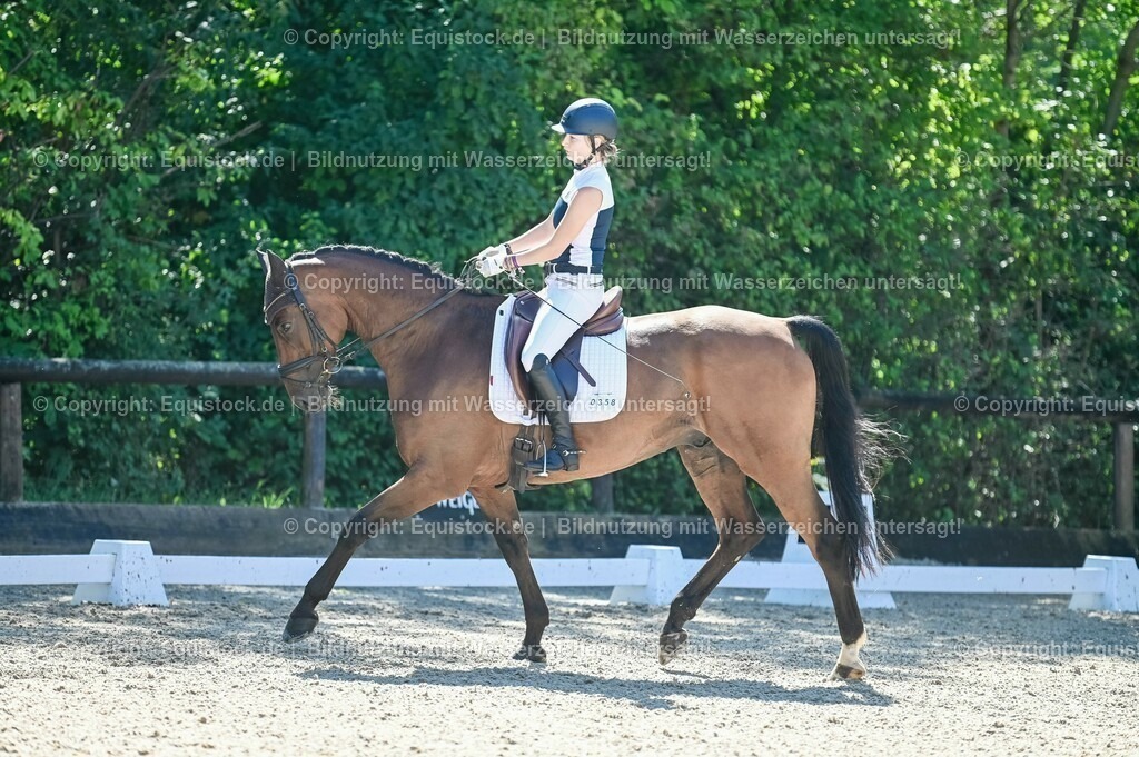 20230908_06_Dressur-L-Trense_0346 | equistock