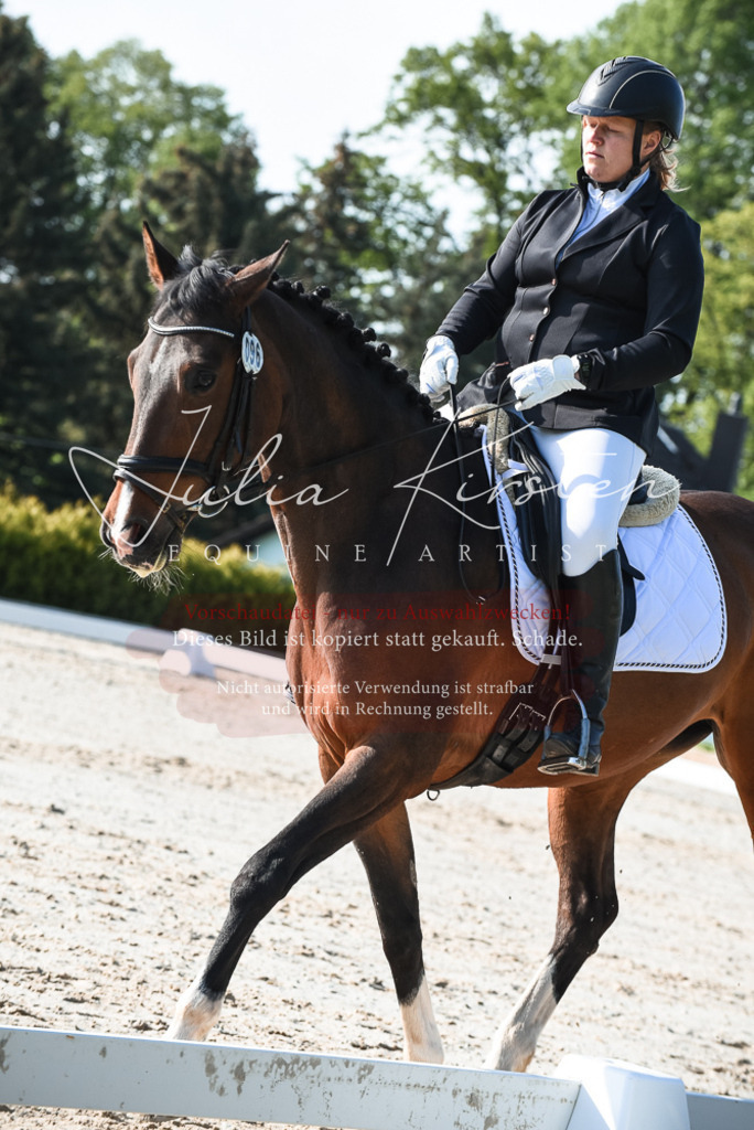 20230518_JK-Röhrsdorf-09-0709 | Pferde- und Turnierfotografie in Westsachsen. Pferdeportraits, Auftragszeichnungen und intuitive Kunst.