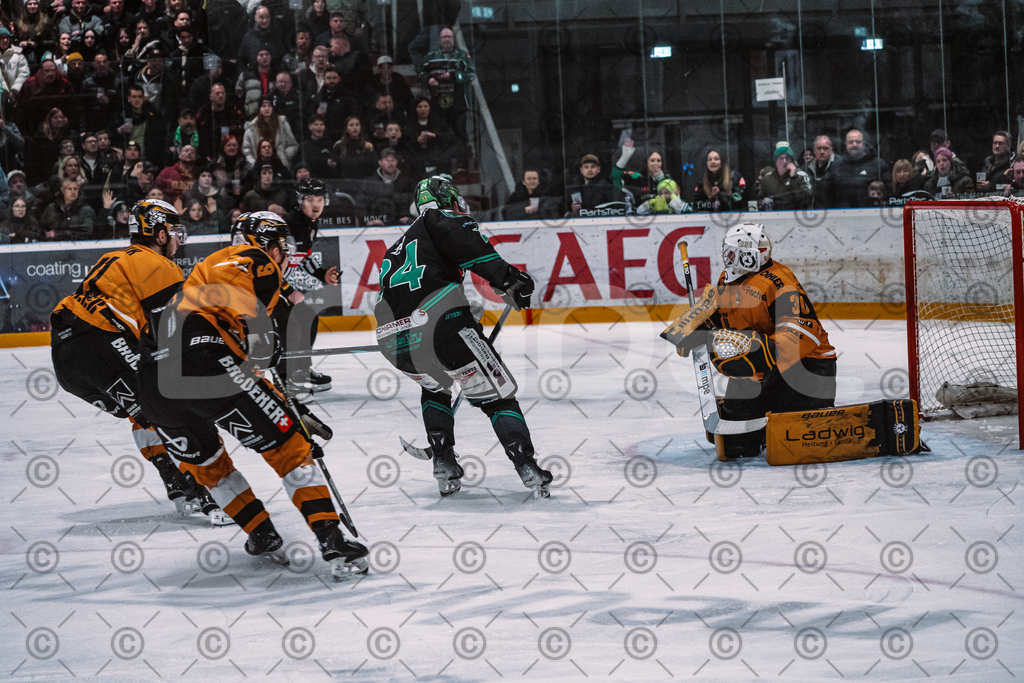 Alligators_vs_Fuessen_06_03_2026_PP-40 | Höchstadt Alligators Fotogalerie: Eishockey-Action aus Franken. Professionelle Spielfotos, Portraits & Stadionbilder zum Download. Jetzt entdecken! - Realisiert mit Pictrs.com