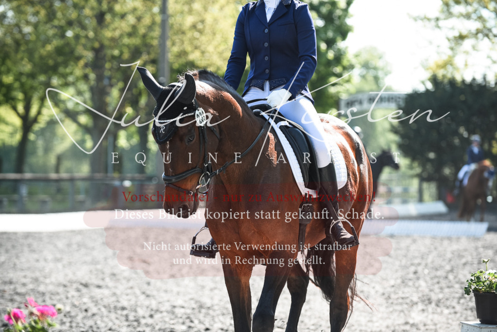 DSC_8789 | Pferde- und Turnierfotografie in Westsachsen. Pferdeportraits, Auftragszeichnungen und intuitive Kunst.