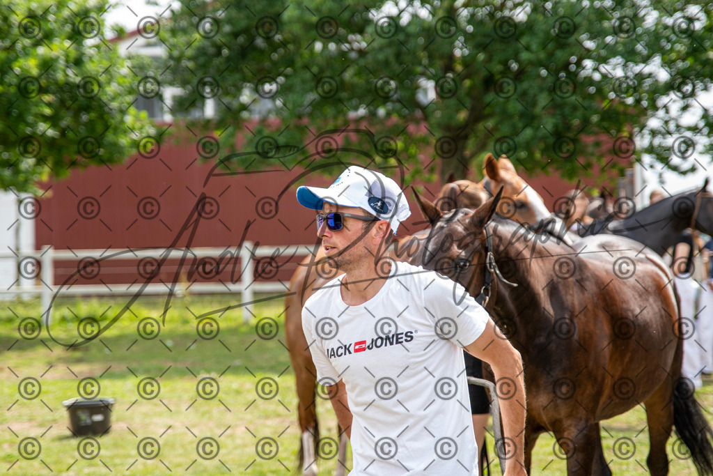 POL_3746 | andre_photographic