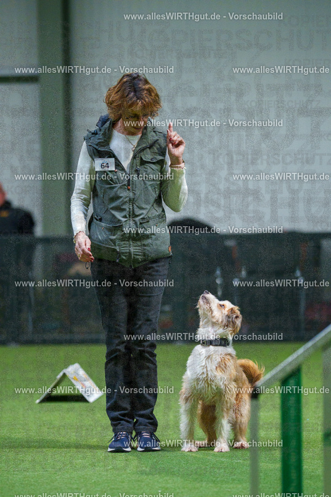 7R503407 | Professionelle Tierfotografie in Mönchengladbach von Daniel Wirth (allesWIRTHgut). Liebevolle & natürliche Bilder von Hunden & Katzen für unvergessliche Erinnerungen.