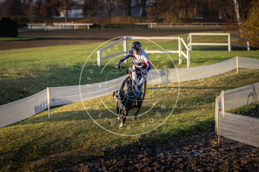 CaniXpix_DV3A9930 | Hundefotografie, Tierfotograf, Pfotenfotografie, Fotoshooting Hund, Hunde Portrait, Hundesport, Hundeportraits, Heideshooting, Hunde, Sportfotograf, Hundefotograf, Turnierhundsport, THS,  - Realisiert mit Pictrs.com