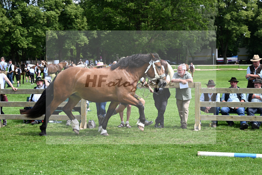 Kat-Nr. 79 Fatima v. Rubinstein_Schwaiger_22241406 | hf-fotografie - Realizzato con Pictrs.com