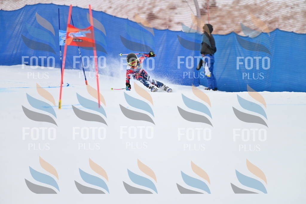 BGV_3126 | holidayphoto