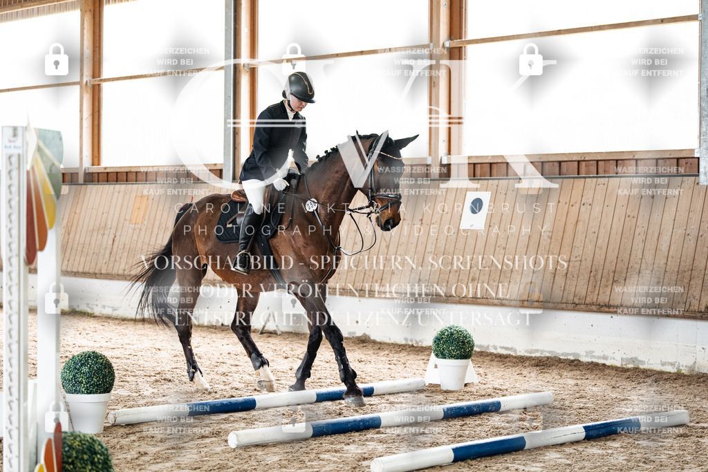 CK902614 | Turnierfotografie Pferdefotografie Trier Rheinland-Pfalz Pferdesport Reitsport Tierfotografie Sportfotografie Pferdevideo Pferdevideografie Equestrianvideography equestrianphotography  - Realisiert mit Pictrs.com