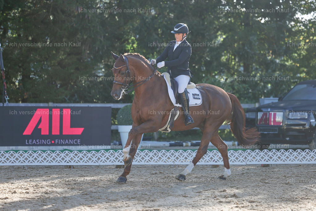 09_1-230-DRESSUR  S_  -StoibPH-5549 | working equitationturnier fotograf videograf stoibphotography marixx film working equitation deutschland reitsport turnierfotografie eventfotografie equestrian events