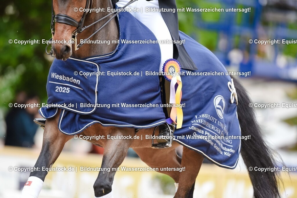 20250607_1_GP-Tour_Dressage_0560 | Foto: Thomas Hartig