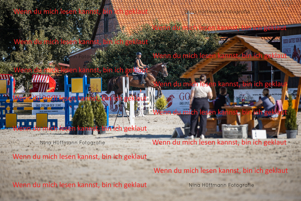 BK1A7296 | Turnierbilder Turnierfotos Nina Hüffmann Turnierfotografie Pferdefotografie Tierzeichnung Haustierzeichnung Pferdezeichnung Hundezeichnung Videograf  - Realisiert mit Pictrs.com