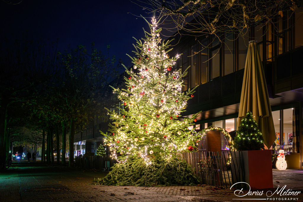 Weihnachten in Mainz | Weihnachten in Mainz