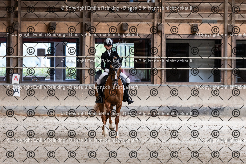 CL5A4080 | Emilia Reinking Fotografie - Realisiert mit Pictrs.com