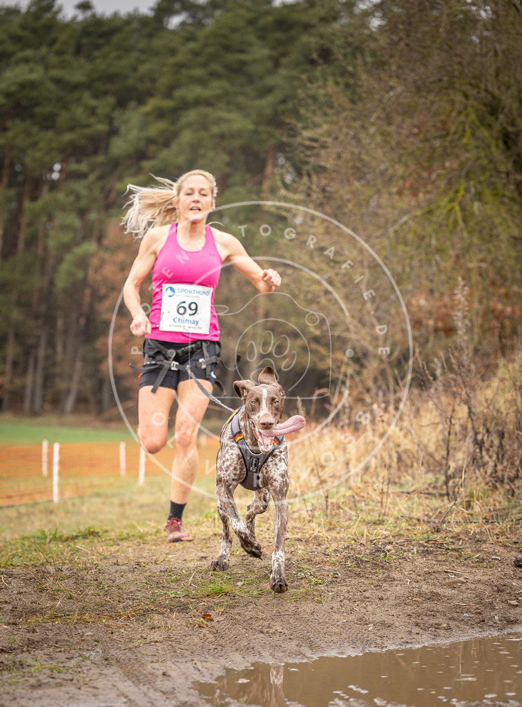 DV3A0129 | Hundefotografie, Tierfotograf, Pfotenfotografie, Fotoshooting Hund, Hunde Portrait, Hundesport, Hundeportraits, Heideshooting, Hunde, Sportfotograf, Hundefotograf, Turnierhundsport, THS,  - Realisiert mit Pictrs.com