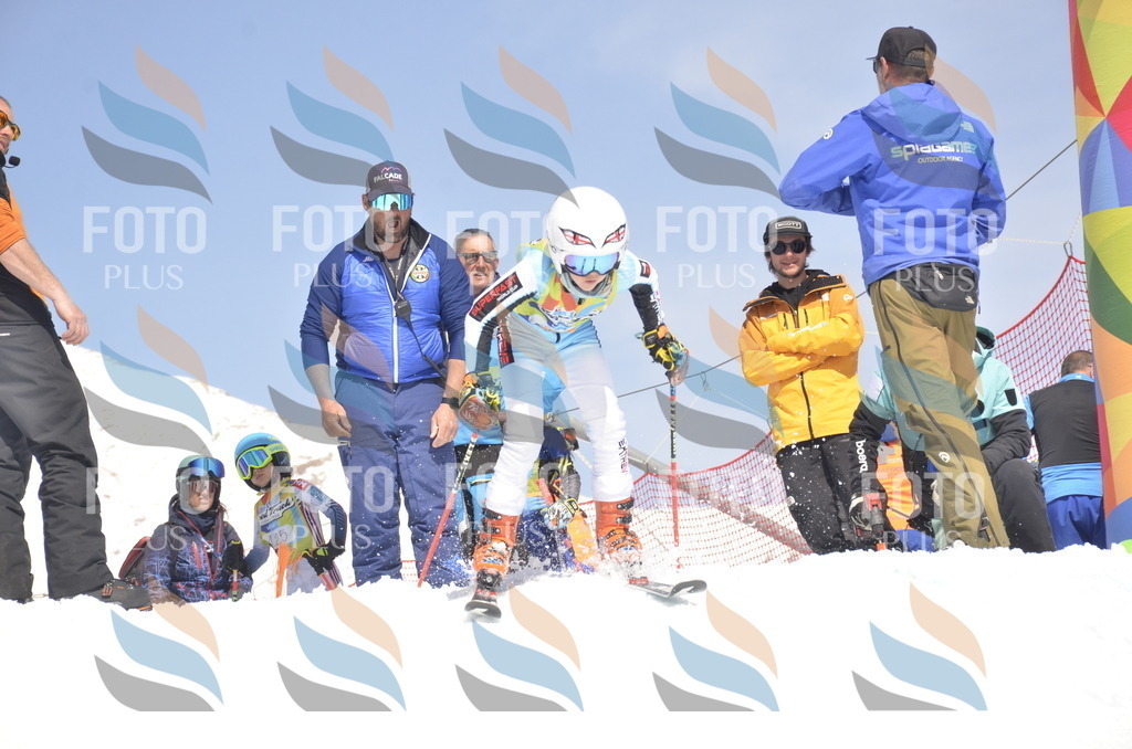 _ELE9572 | holidayphoto