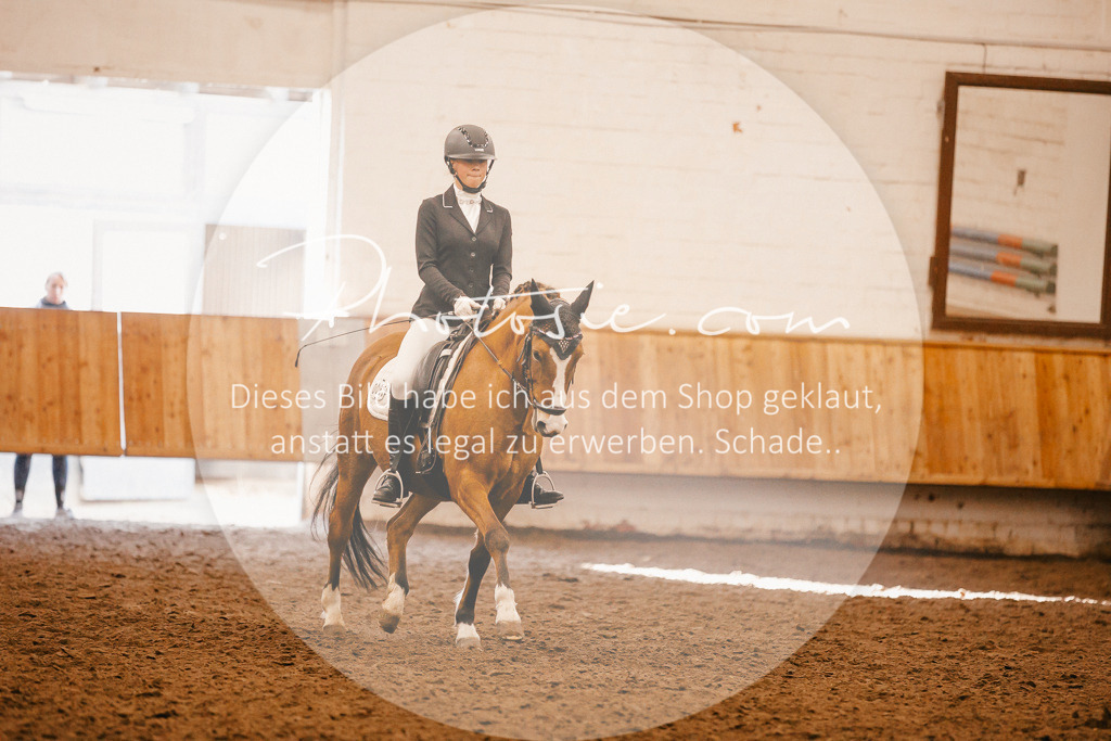3I6A1944 | Stimmungsvolle Portraits und Reitsportfotografie im Ruhrgebiet und im Münsterland.

Pferdefotografie, Hundefotografie, Tierfotografie, Reportagen, Portraits von Tier und Mensch, Turnierfotografie in Bochum, Recklinghausen, Marl, Haltern am See, Dülmen.. - Realisiert mit Pictrs.com