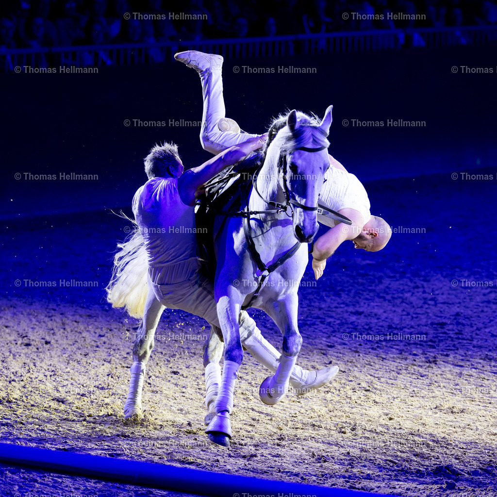 TH_Hop Top Show_26975 | EQUITANA 2025 am 09.03.25 in Essen