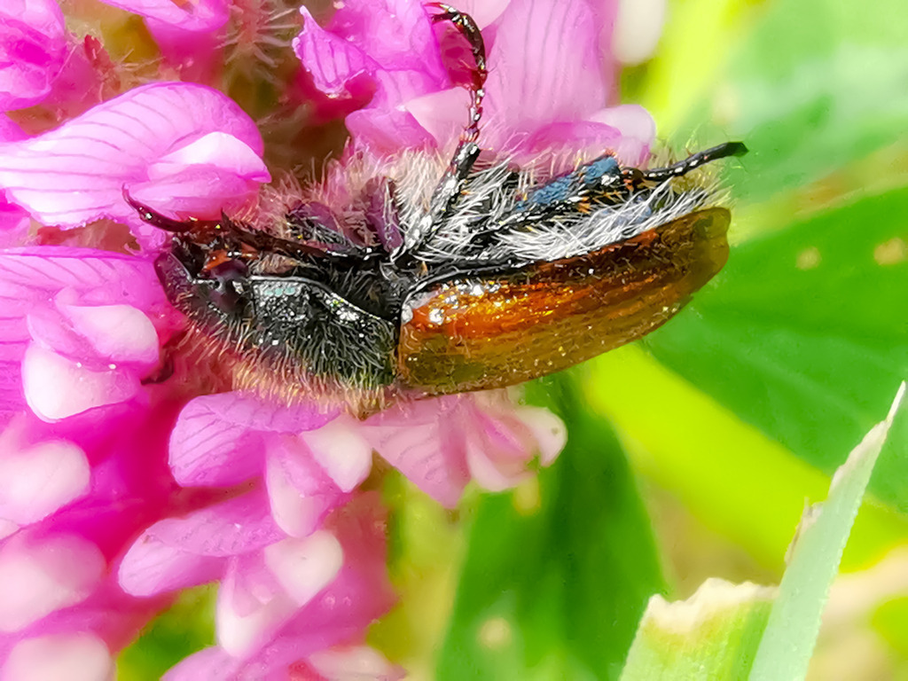 PSX_20230601_225014 | mtkfoto_ - Realisiert mit Pictrs.com