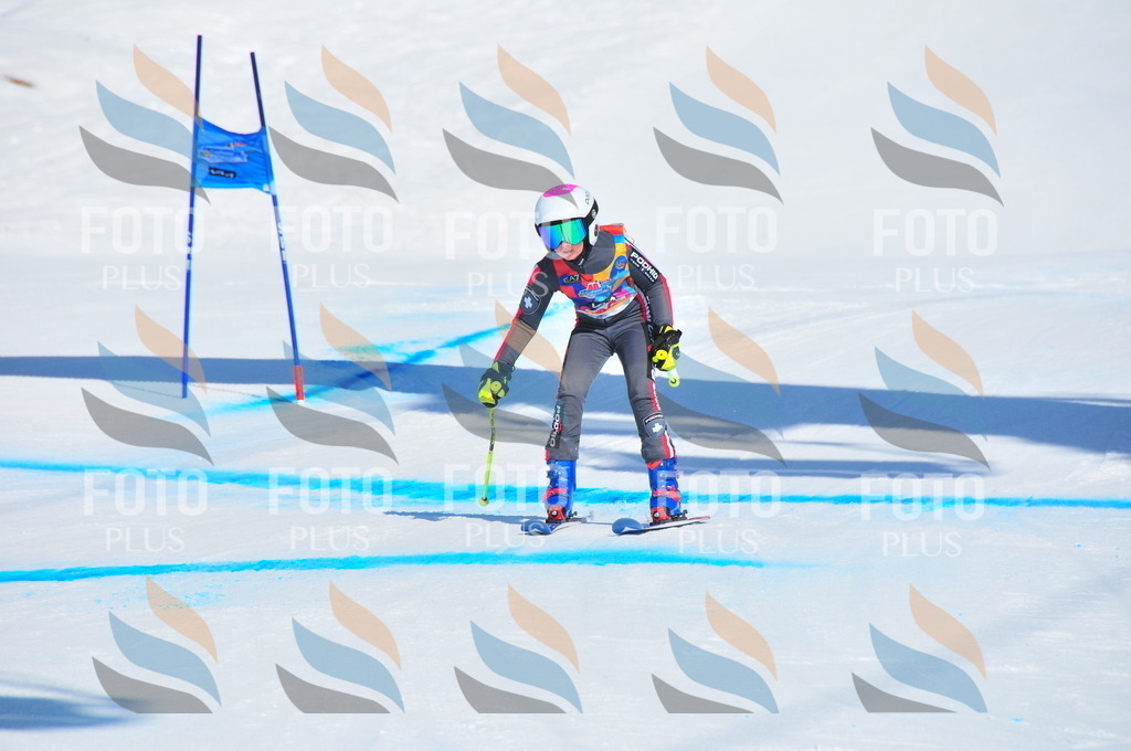 DSC_4446 | holidayphoto