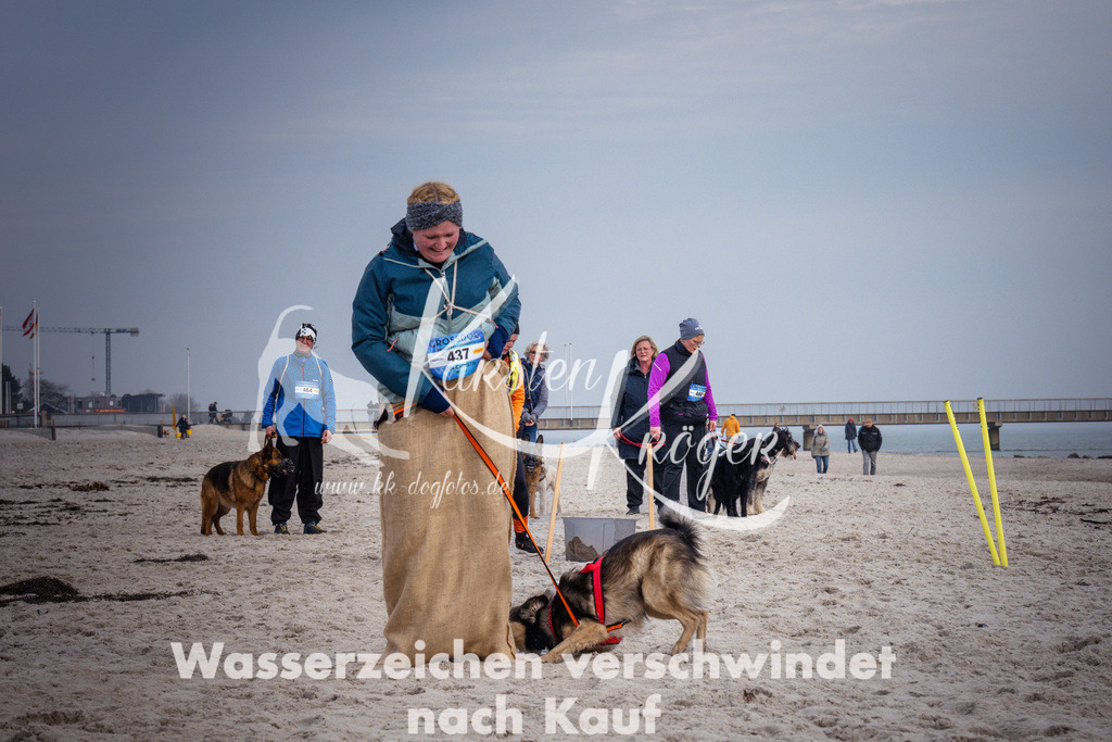 1304_ZZ98317 | kk-dogfotos