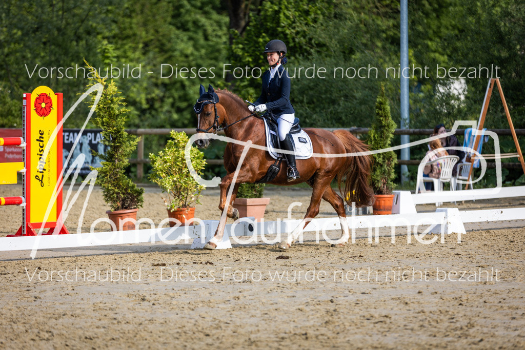 Donop24-A-Dre-140 | MomenTaufnahmen Pferdesportfotos