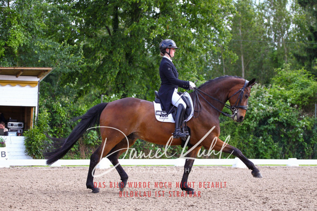 DKP41696 | Turnierfotos kaufen im Webshop von Daniel Kuhl Photography – entdecke professionelle Reitsportfotos aus Turnieren & Events. Hochwertige Turnierbilder online bestellen & sichern. Jetzt Fotos von Reitsportturnieren kaufen!