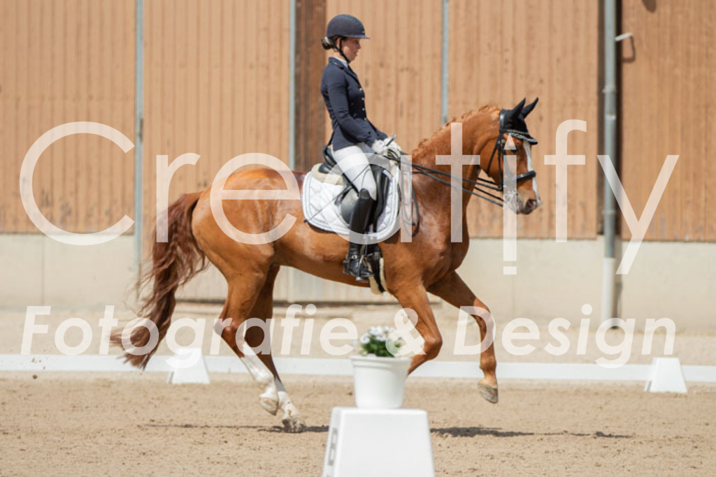 IMG_5731 | Creatify Fotografie