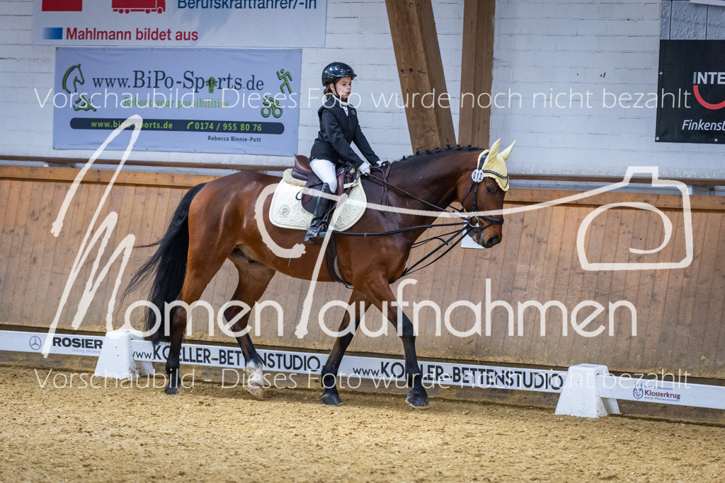 _M2A1785 | MomenTaufnahmen Pferdesportfotos