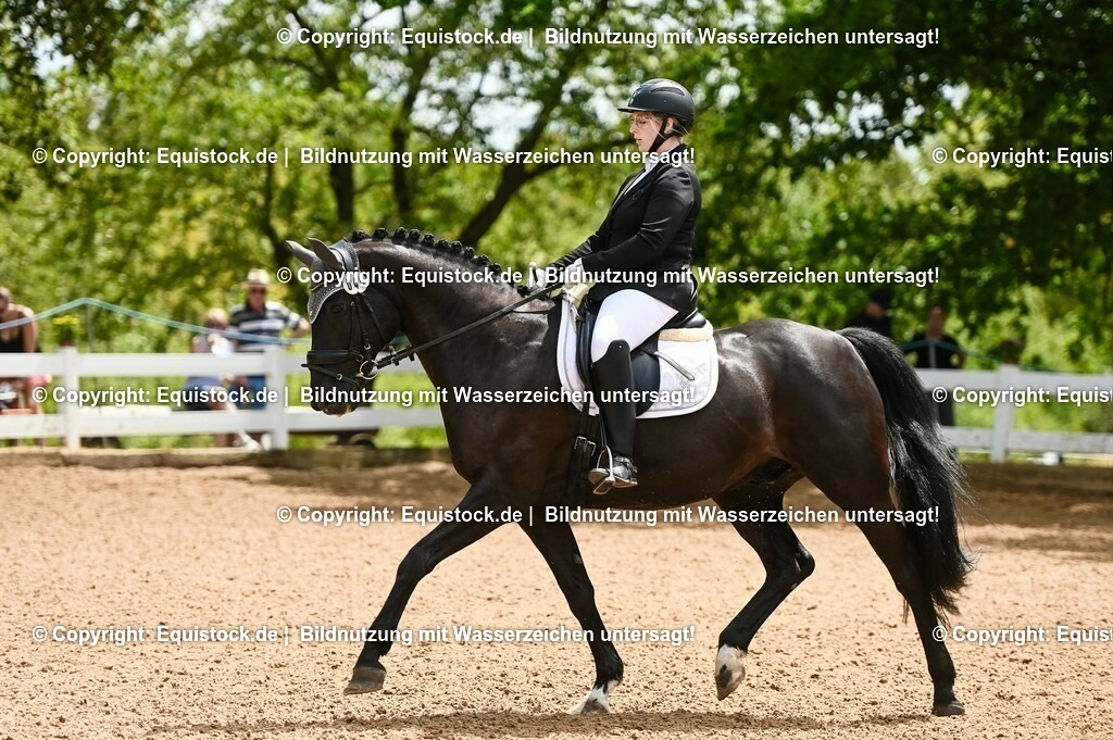 20230716_03_Dressurprfg. Kl.L - Tr._0189 | equistock
