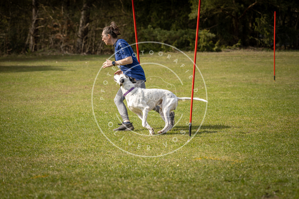 Pfotenfotografie_DV3A0054 | Hundefotografie, Tierfotograf, Pfotenfotografie, Fotoshooting Hund, Hunde Portrait, Hundesport, Hundeportraits, Heideshooting, Hunde, Sportfotograf, Hundefotograf, Turnierhundsport, THS,  - Realisiert mit Pictrs.com