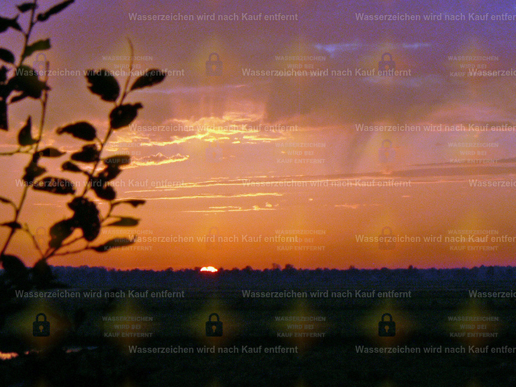 P1080512 | Fotoseite Wolkenblende - Das Hobby fotografieren begleitet mich schon  viele  Jahre. Auf den nächsten Seiten zeige ich ein paar Schnappschüsse der letzten Jahre und es kommen immer neue hinzu. Schau einfach mal rein. - Realisiert mit Pictrs.com