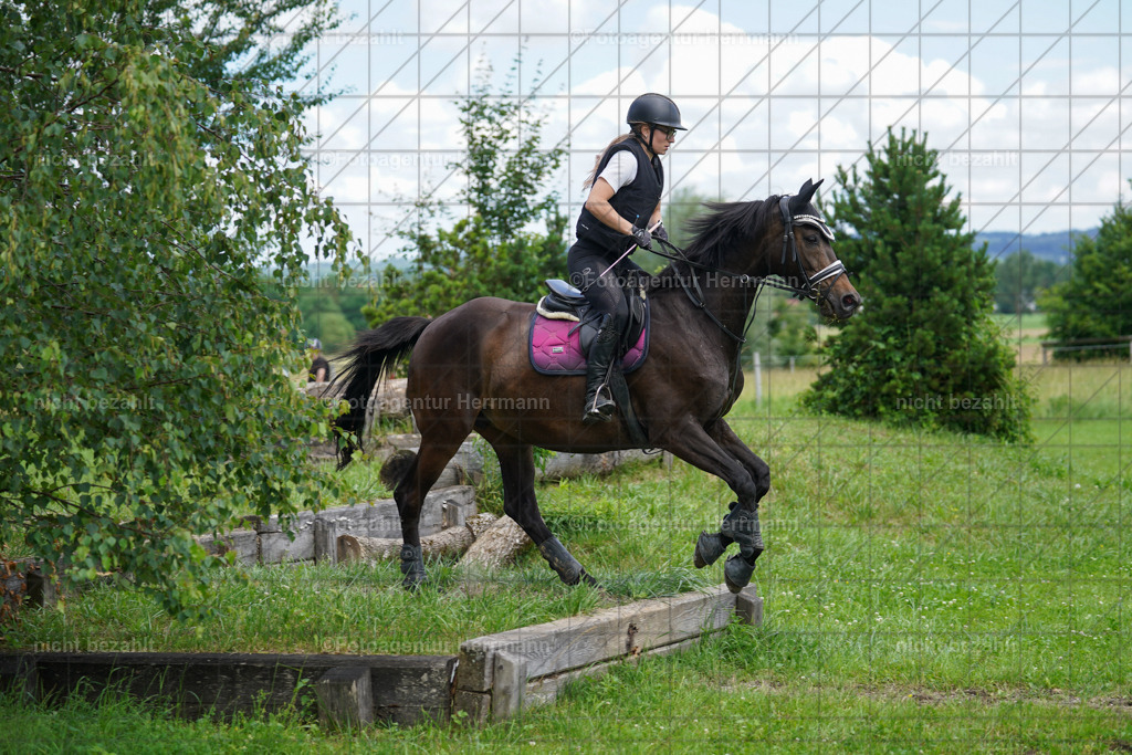 20240622-FAH07418 | Turnierfotografen Bayern, Reitsportbilder aus dem Geländekurs mit Felix Etzel auf dem Gut Waitzacker 2024