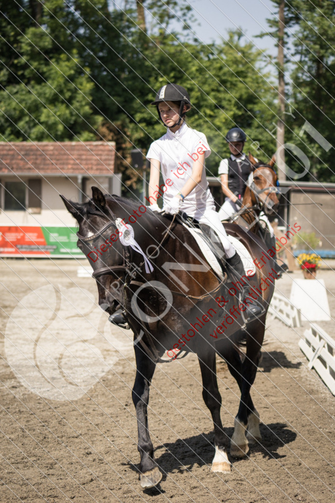 IMG_4773 | Sport-, Event- und Tierfotos in Profiqualität. Einfach auswählen, bestellen und herunterladen. Dein Moment – perfekt festgehalten.