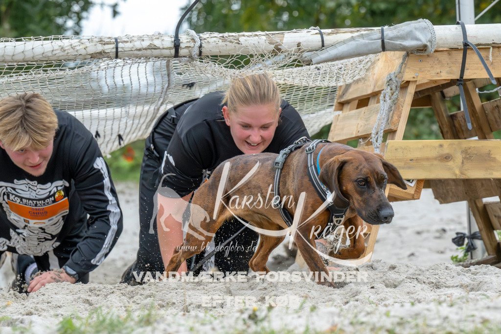 1036_ZZ94590 | kk-dogfotos