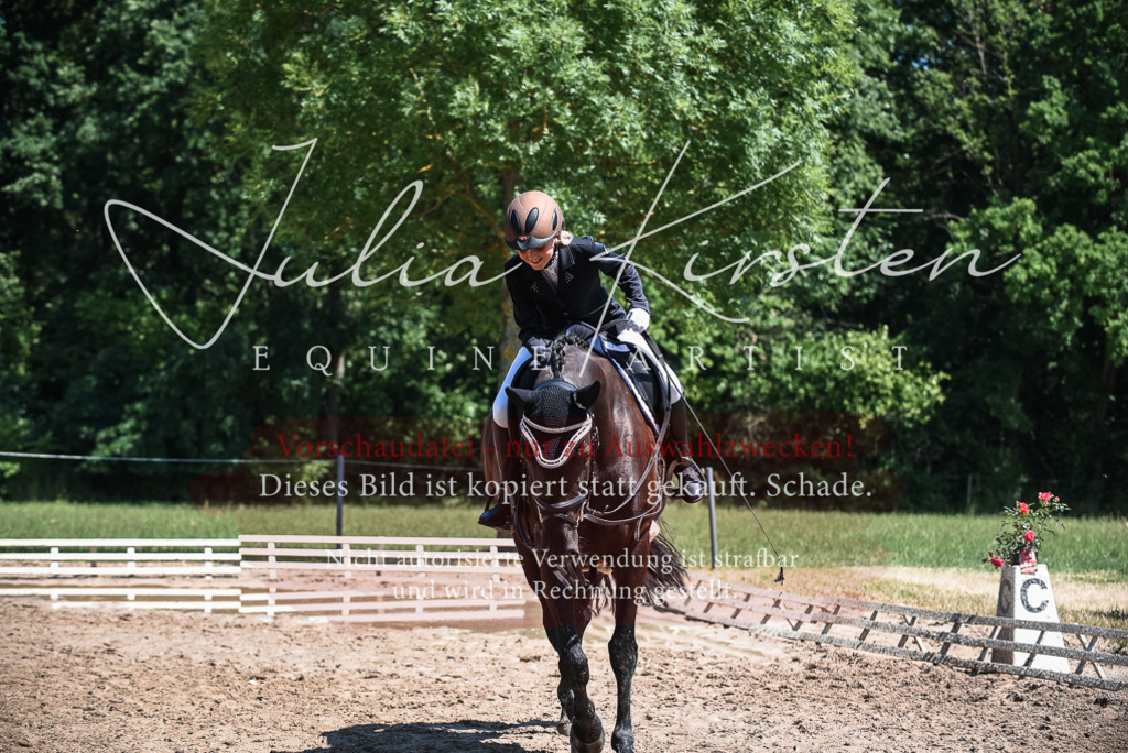 DSC_2840 | Pferde- und Turnierfotografie in Westsachsen. Pferdeportraits, Auftragszeichnungen und intuitive Kunst.