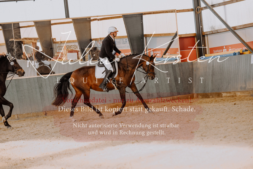 DSC_7583 | Pferde- und Turnierfotografie in Westsachsen. Pferdeportraits, Auftragszeichnungen und intuitive Kunst.