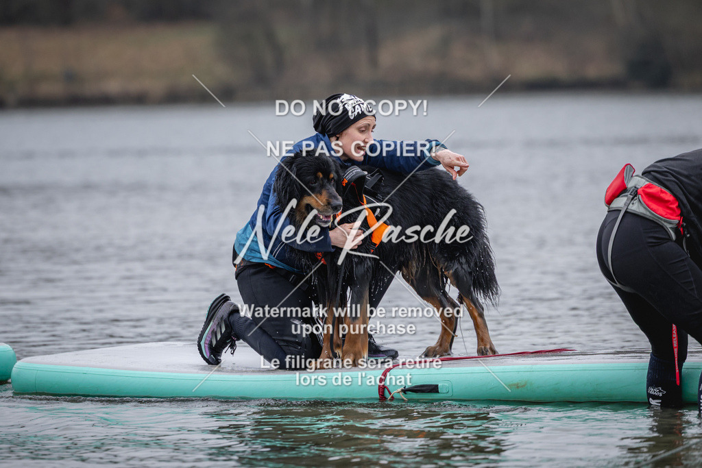 nelerasche_Hulsbeek_Sa1600-1700_81 | nelerasche