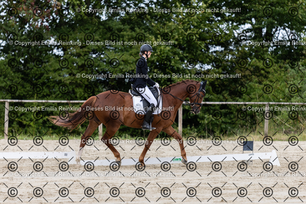 CL5A4599 | Emilia Reinking Fotografie - Realisiert mit Pictrs.com