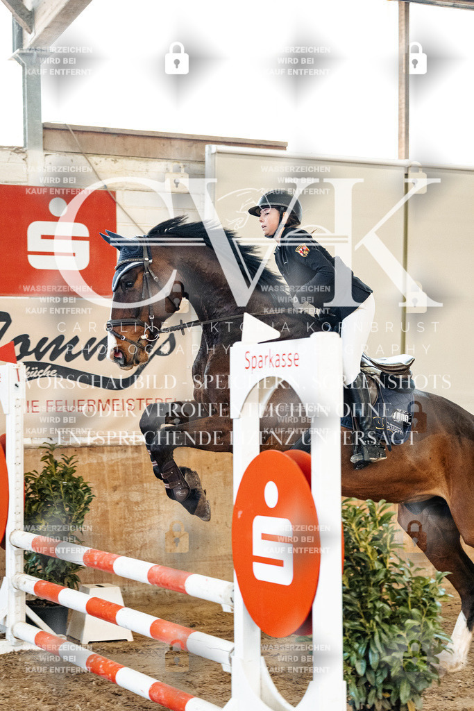 CK904417 | Turnierfotografie Pferdefotografie Trier Rheinland-Pfalz Pferdesport Reitsport Tierfotografie Sportfotografie Pferdevideo Pferdevideografie Equestrianvideography equestrianphotography  - Realized with Pictrs.com
