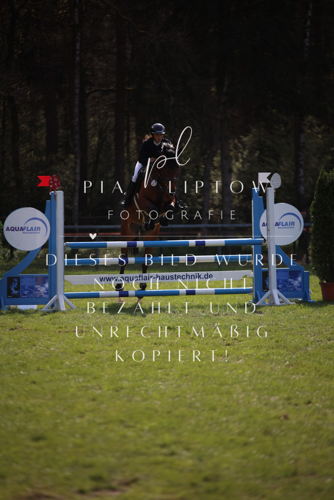 IMGT5839 | pl-fotografie