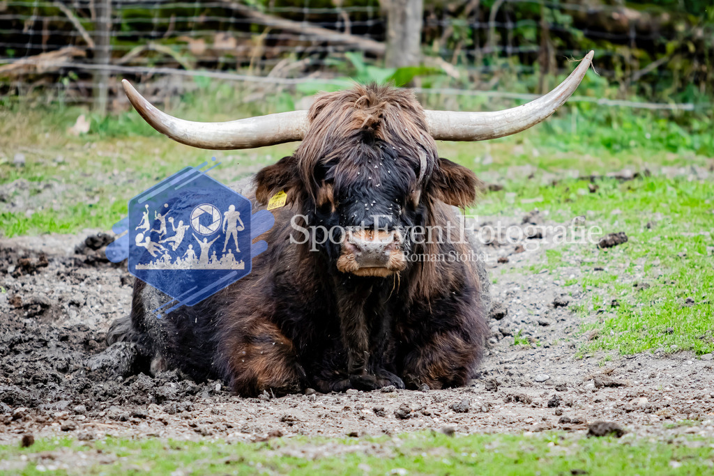 IMG_2744 | SportEventFotografie - Roman Stoiber