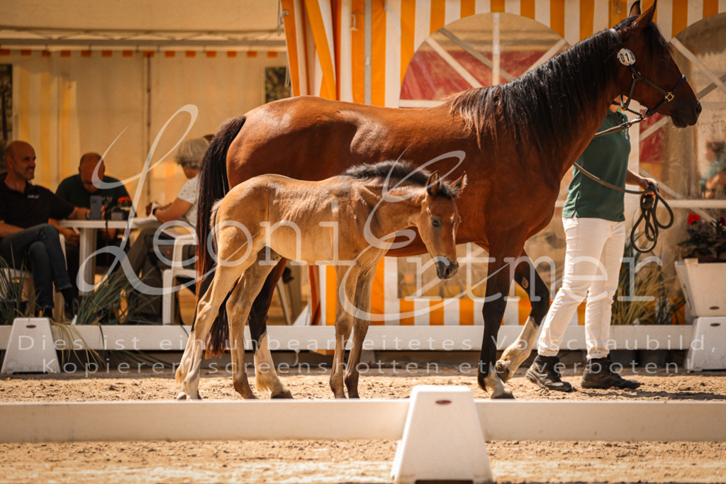 03.DoAB00005 | Leoni Ertmer Photography - Realisiert mit Pictrs.com